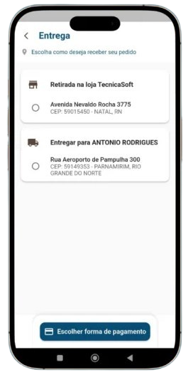 Opções de Entrega